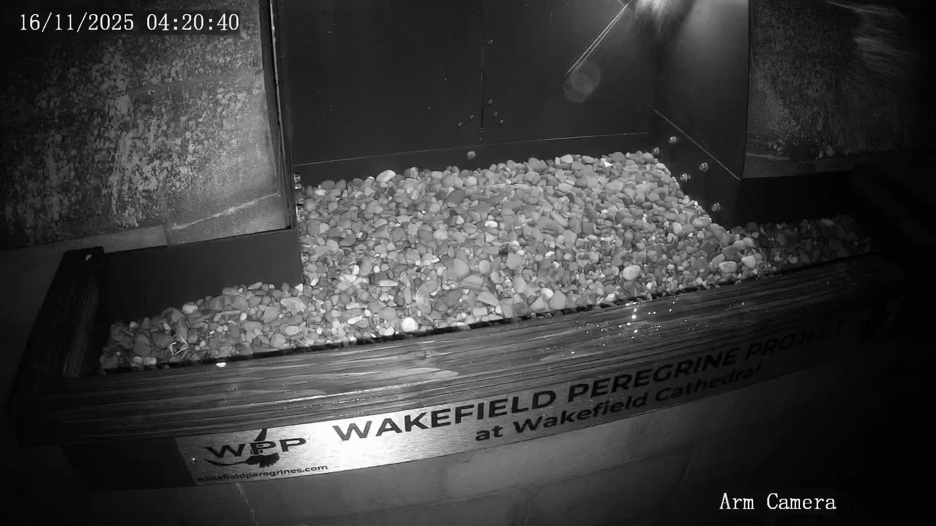 Wakefield Cathedral & Peregrine Life Project Live Cam - Wakefield, West Yorkshire, Yorkshire and the Humber, England, United Kingdom