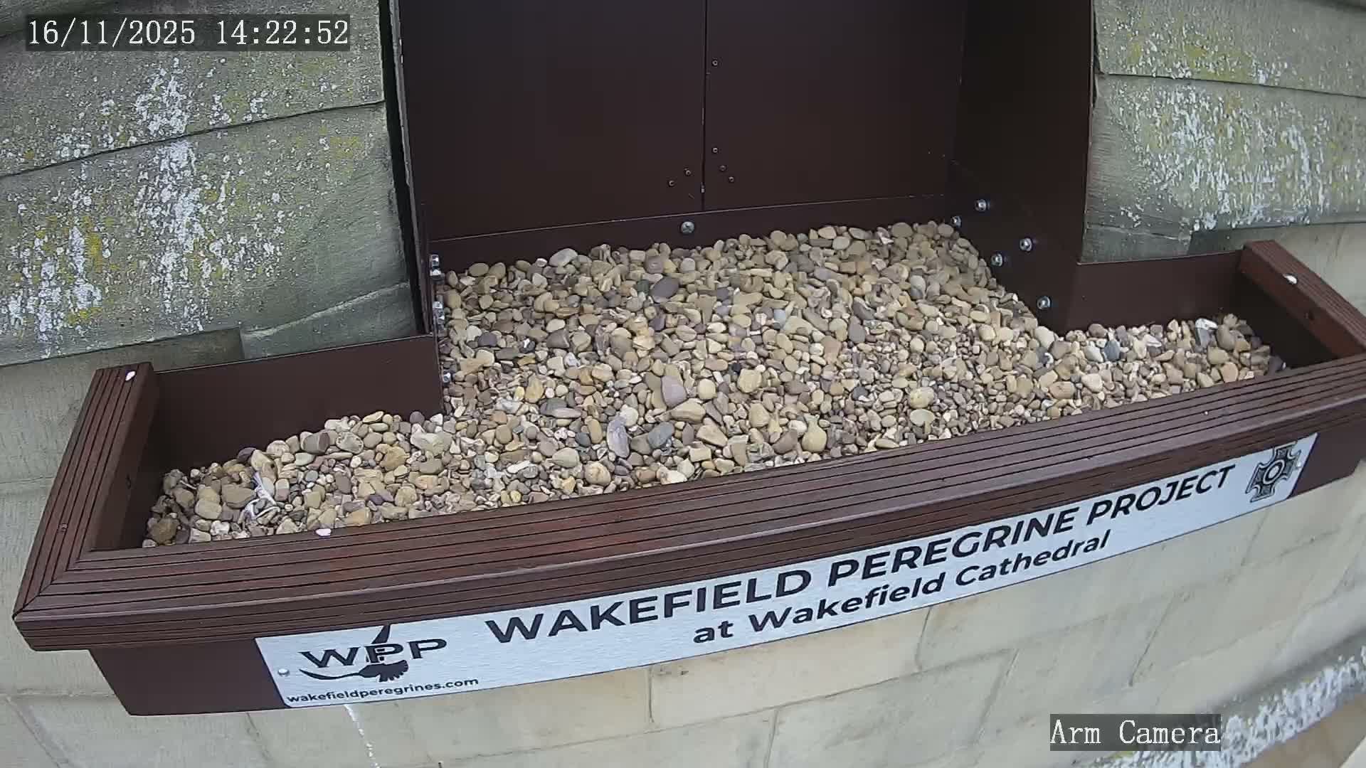 Wakefield Cathedral & Peregrine Life Project Live Cam - Wakefield, West Yorkshire, Yorkshire and the Humber, England, United Kingdom