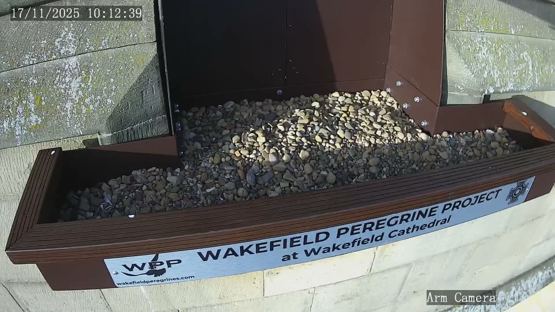 Wakefield Cathedral & Peregrine Life Project Live Cam - Wakefield, West Yorkshire, Yorkshire and the Humber, England, United Kingdom