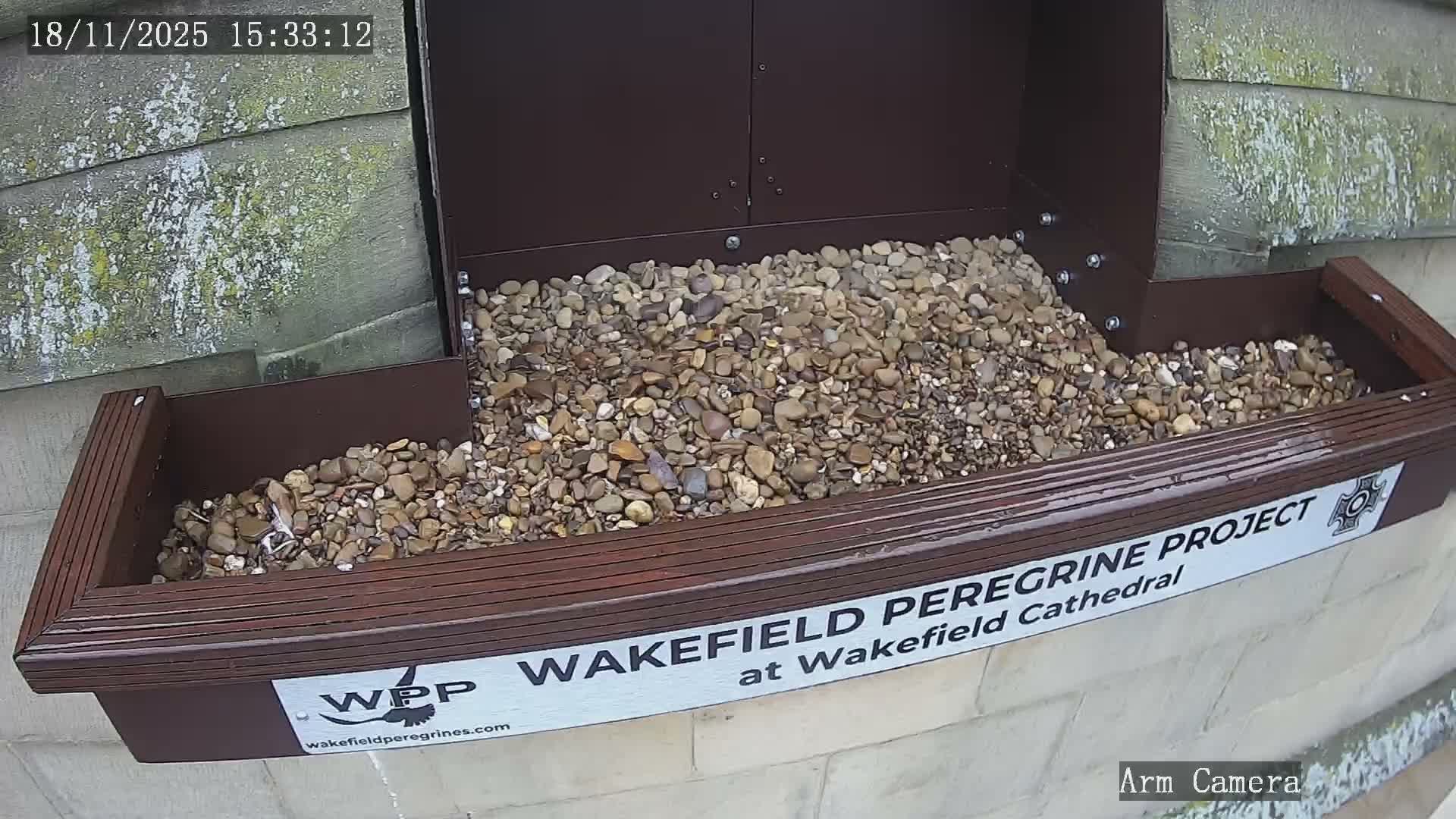Wakefield Cathedral & Peregrine Life Project Live Cam - Wakefield, West Yorkshire, Yorkshire and the Humber, England, United Kingdom