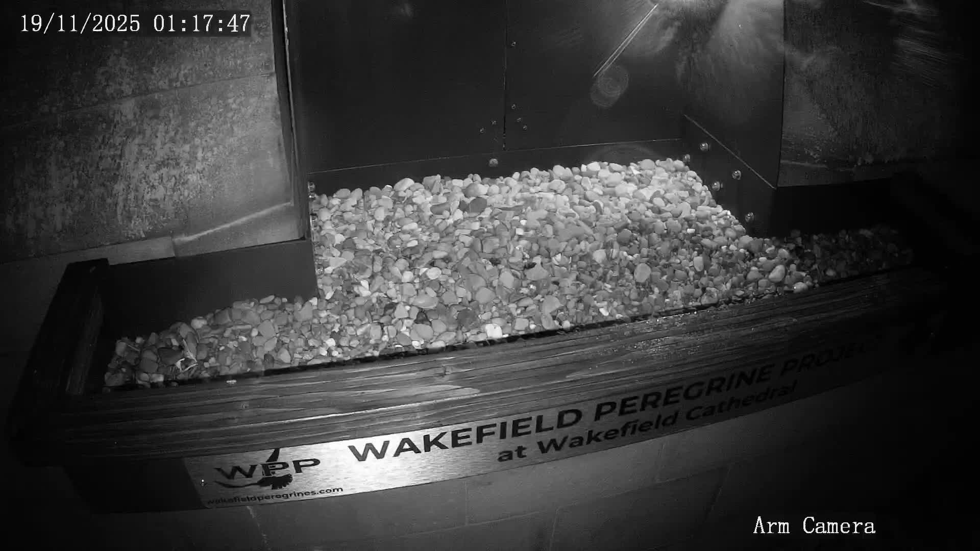 Wakefield Cathedral & Peregrine Life Project Live Cam - Wakefield, West Yorkshire, Yorkshire and the Humber, England, United Kingdom