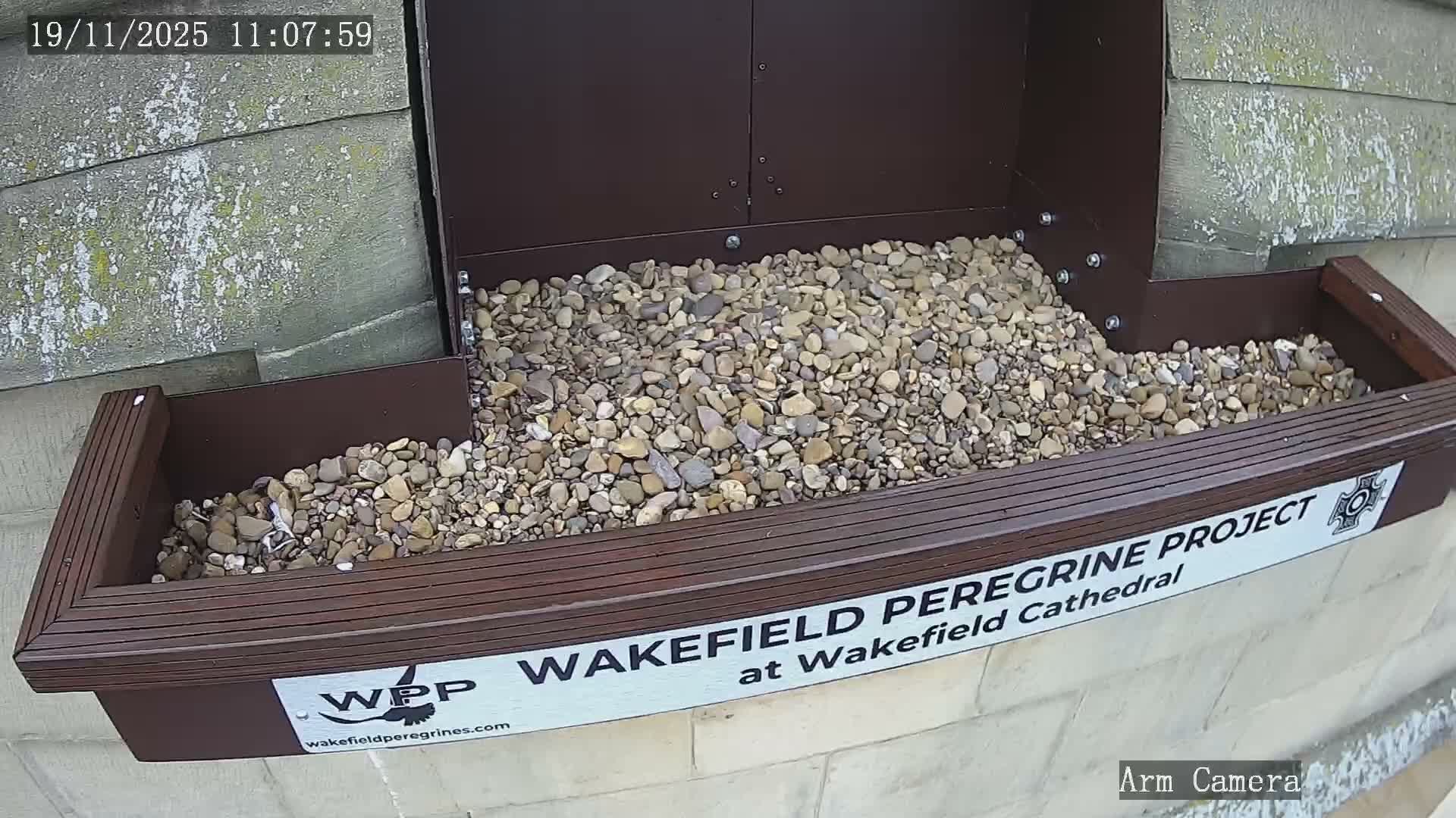 The image shows a black screen with the text "WEBCAM IS OFFLINE" and "PLEASE CHECK BACK LATER" in light gray.