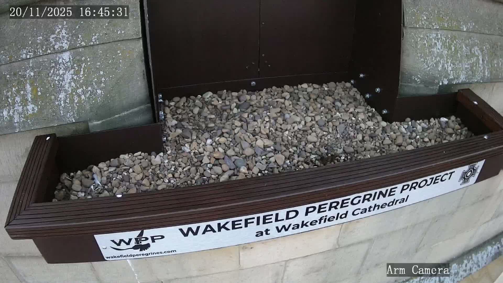 Wakefield Cathedral & Peregrine Life Project Live Cam - Wakefield, West Yorkshire, Yorkshire and the Humber, England, United Kingdom