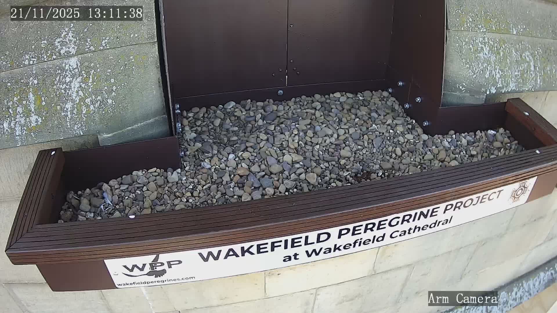 Wakefield Cathedral & Peregrine Life Project Live Cam - Wakefield, West Yorkshire, Yorkshire and the Humber, England, United Kingdom