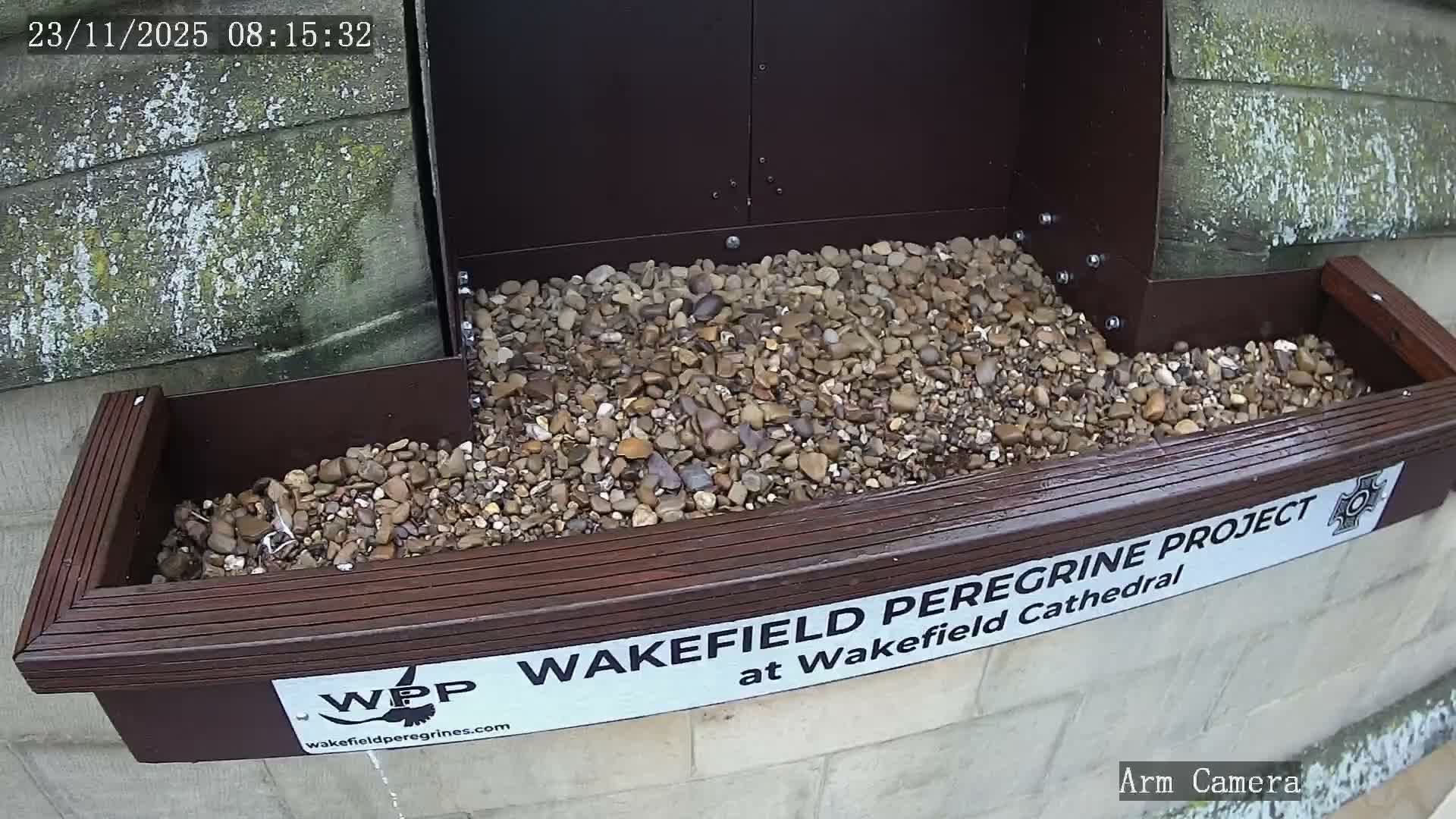Wakefield Cathedral & Peregrine Life Project Live Cam - Wakefield, West Yorkshire, Yorkshire and the Humber, England, United Kingdom