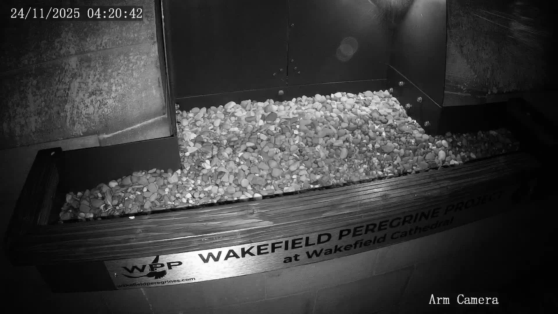 Wakefield Cathedral & Peregrine Life Project Live Cam - Wakefield, West Yorkshire, Yorkshire and the Humber, England, United Kingdom