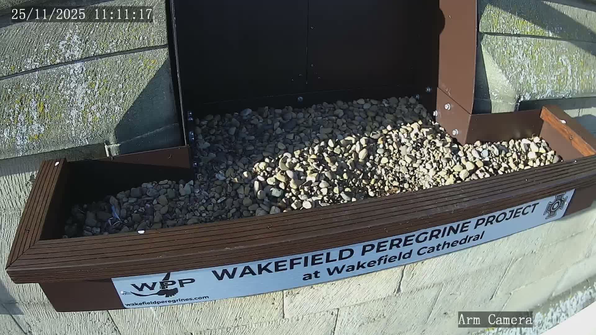 Wakefield Cathedral & Peregrine Life Project Live Cam - Wakefield, West Yorkshire, Yorkshire and the Humber, England, United Kingdom