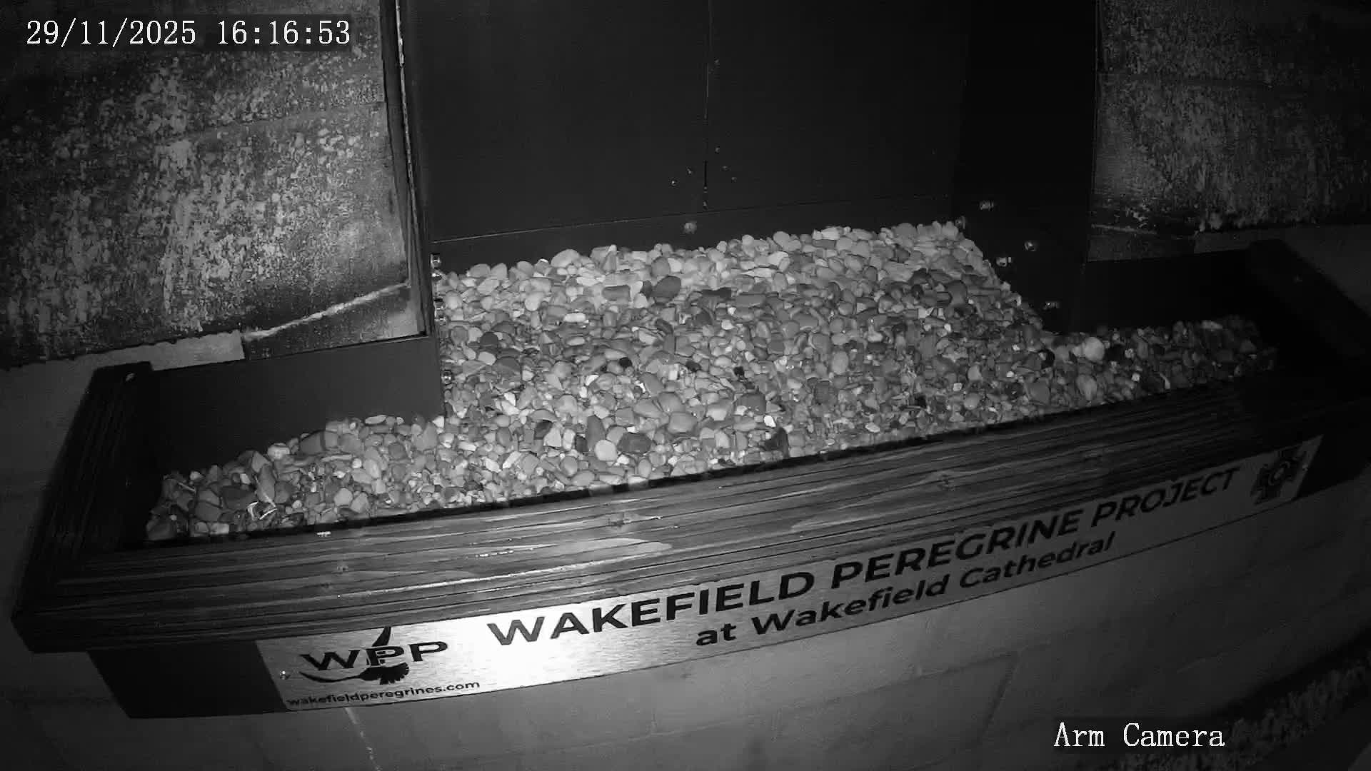 Wakefield Cathedral & Peregrine Life Project Live Cam - Wakefield, West Yorkshire, Yorkshire and the Humber, England, United Kingdom