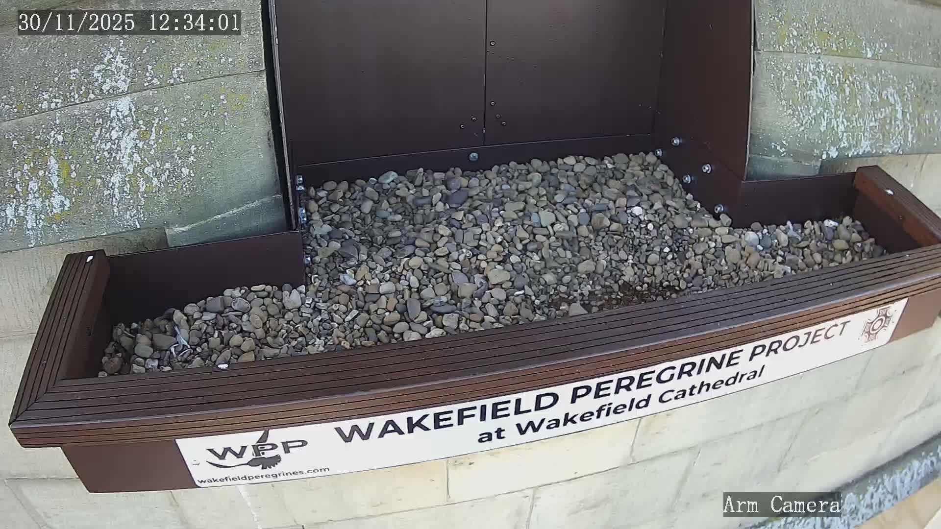 Wakefield Cathedral & Peregrine Life Project Live Cam - Wakefield, West Yorkshire, Yorkshire and the Humber, England, United Kingdom