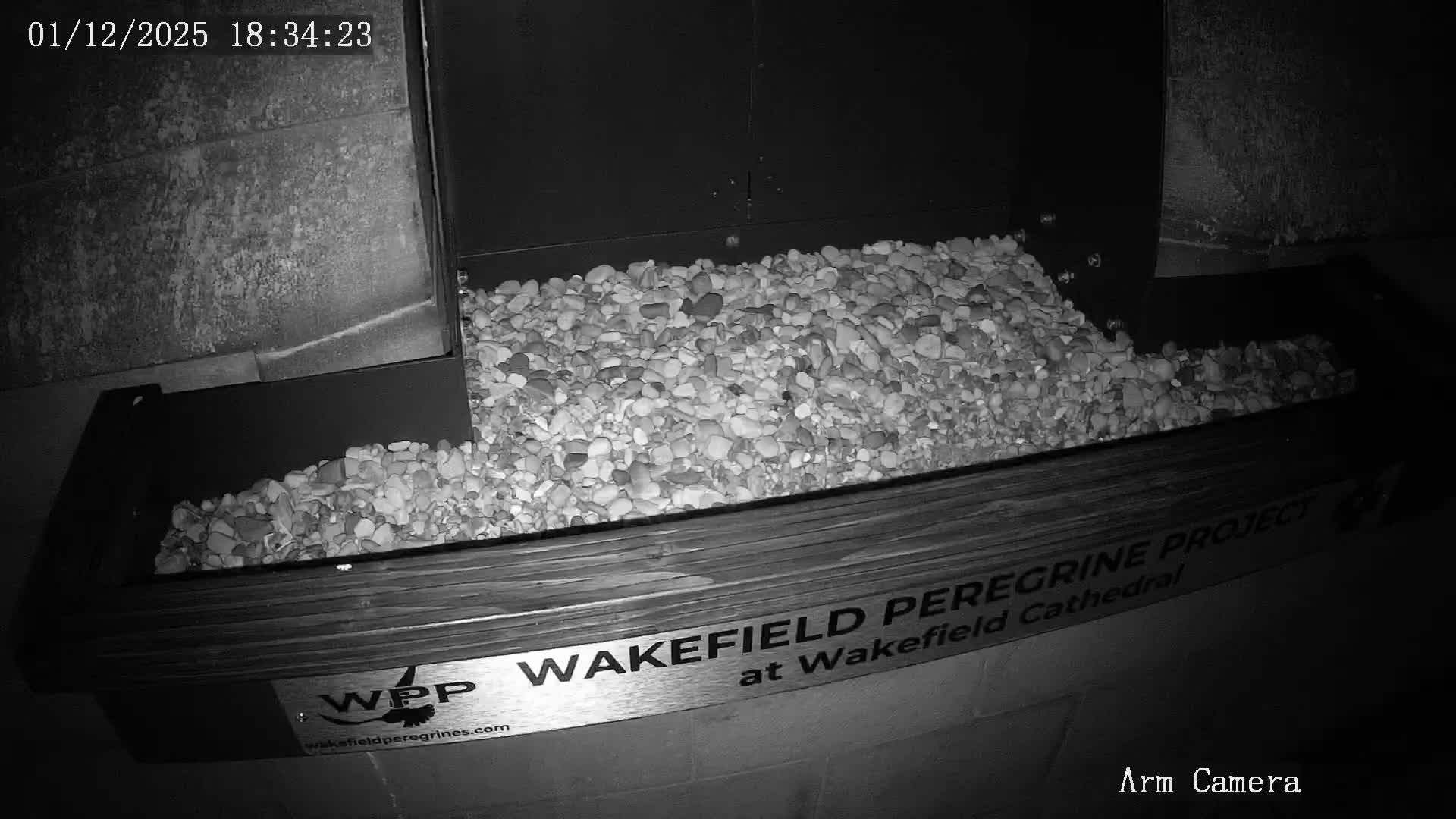 Wakefield Cathedral & Peregrine Life Project Live Cam - Wakefield, West Yorkshire, Yorkshire and the Humber, England, United Kingdom