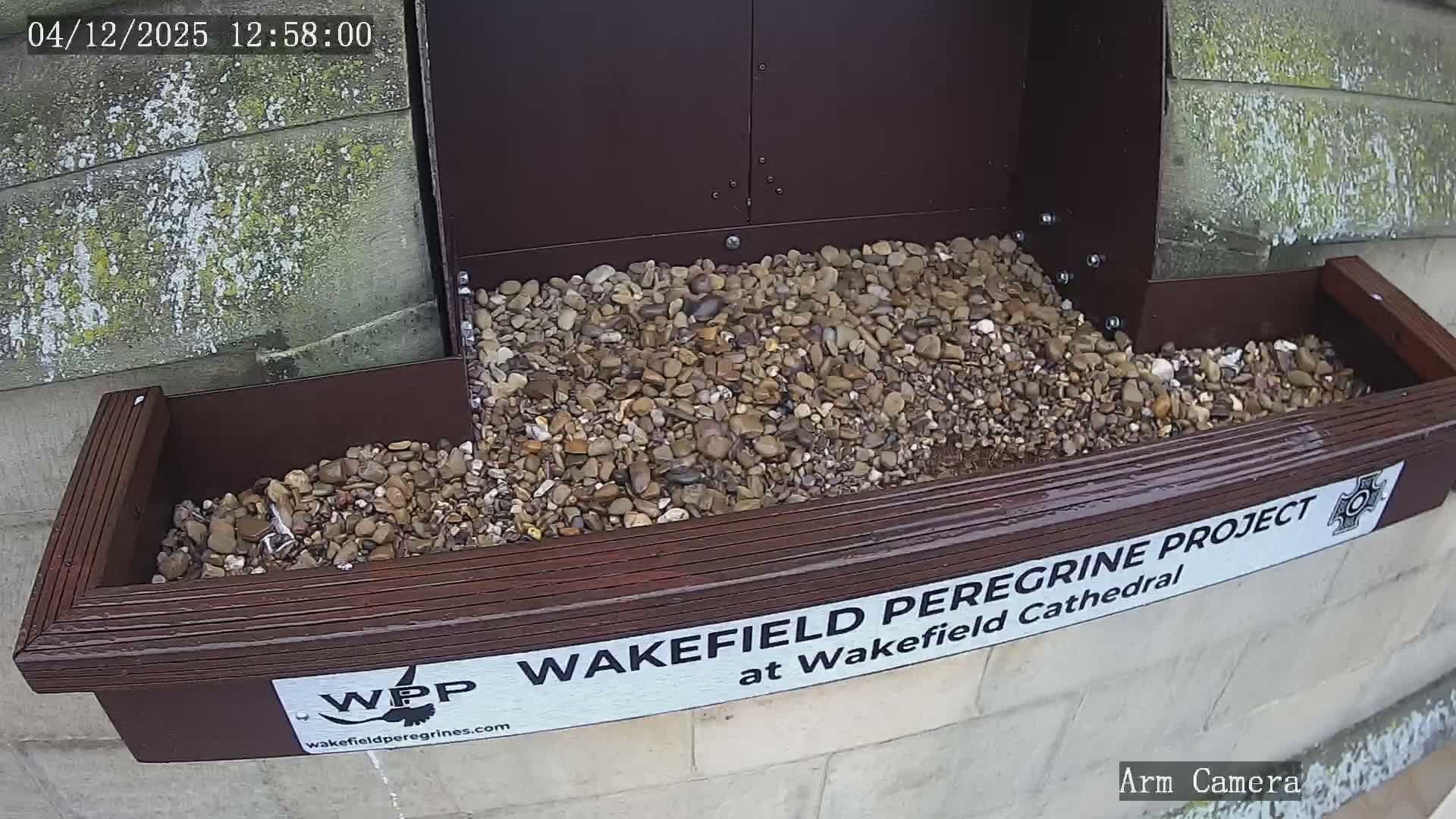 Wakefield Cathedral & Peregrine Life Project Live Cam - Wakefield, West Yorkshire, Yorkshire and the Humber, England, United Kingdom