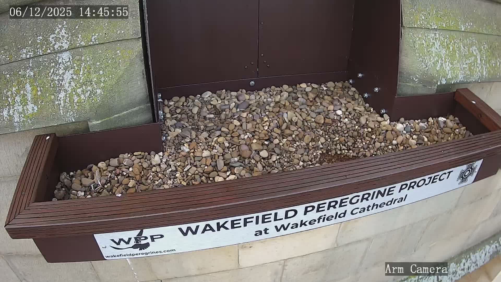 Wakefield Cathedral & Peregrine Life Project Live Cam - Wakefield, West Yorkshire, Yorkshire and the Humber, England, United Kingdom