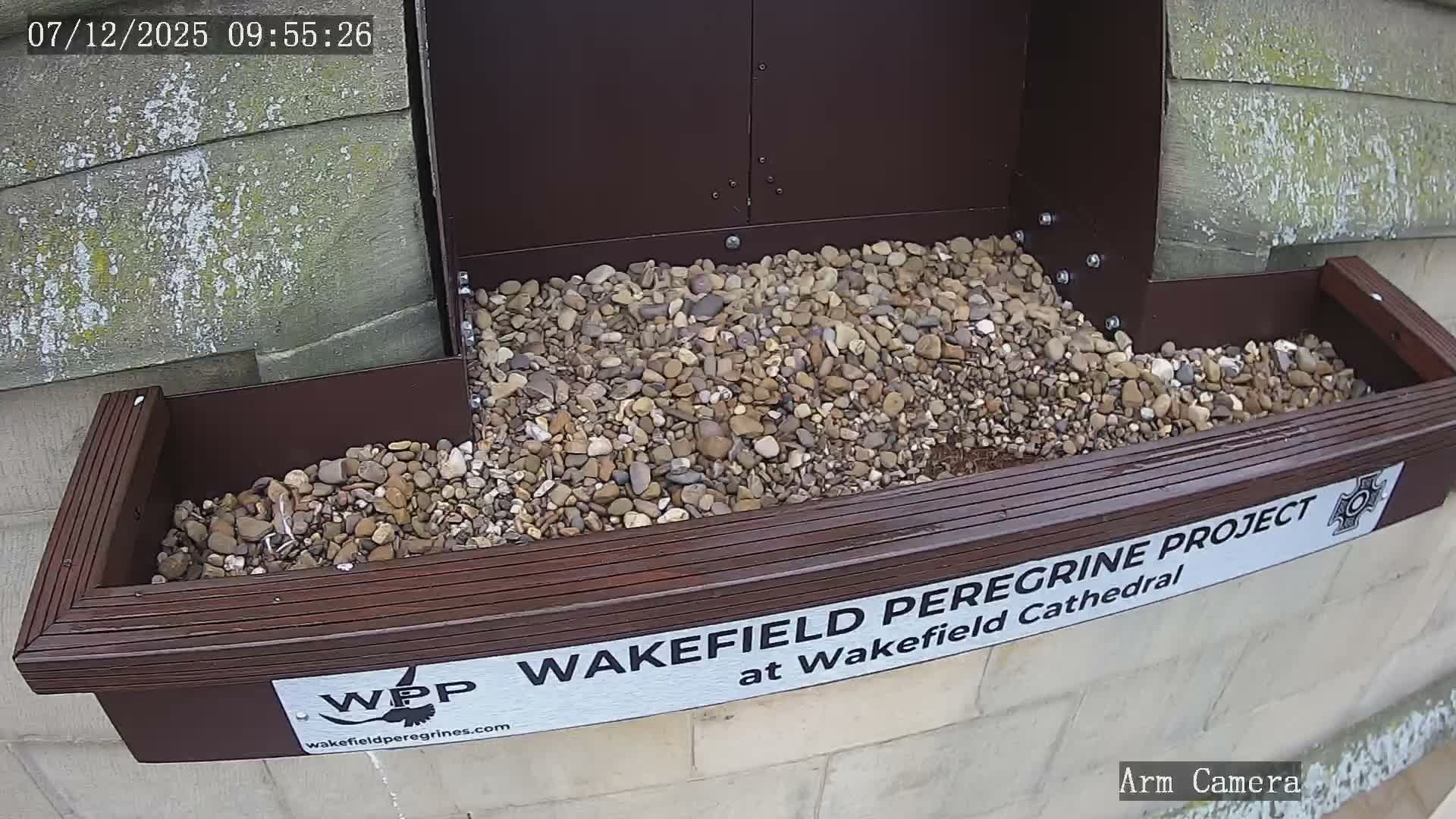 Wakefield Cathedral & Peregrine Life Project Live Cam - Wakefield, West Yorkshire, Yorkshire and the Humber, England, United Kingdom