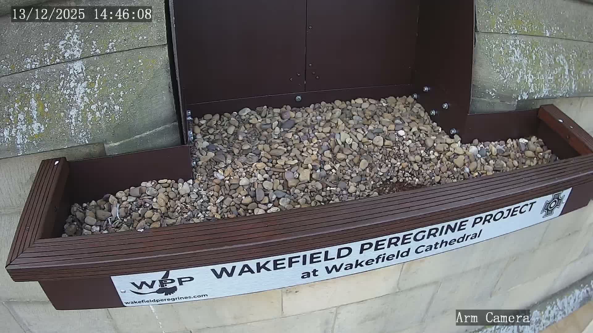 Wakefield Cathedral & Peregrine Life Project Live Cam - Wakefield, West Yorkshire, Yorkshire and the Humber, England, United Kingdom
