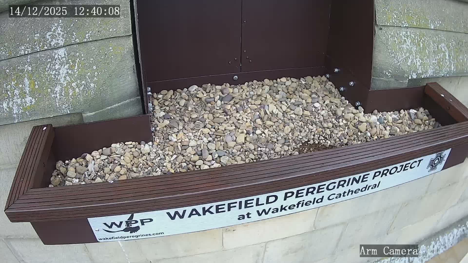Wakefield Cathedral & Peregrine Life Project Live Cam - Wakefield, West Yorkshire, Yorkshire and the Humber, England, United Kingdom
