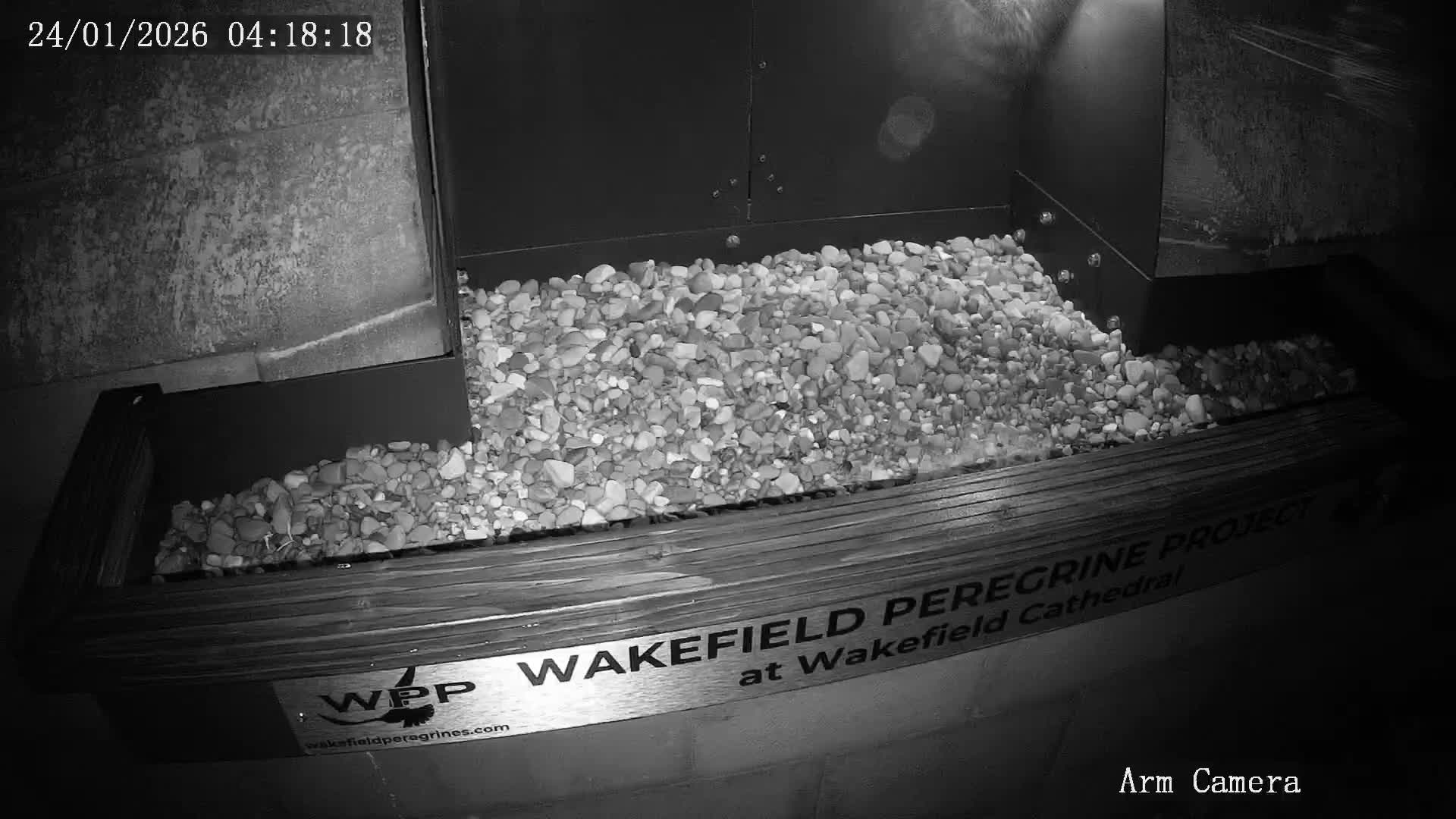 Wakefield Cathedral & Peregrine Life Project Live Cam - Wakefield, West Yorkshire, Yorkshire and the Humber, England, United Kingdom