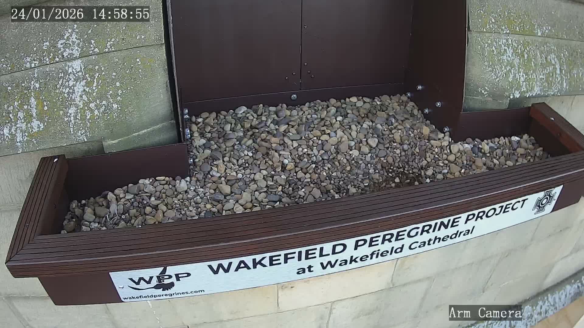 Wakefield Cathedral & Peregrine Life Project Live Cam - Wakefield, West Yorkshire, Yorkshire and the Humber, England, United Kingdom