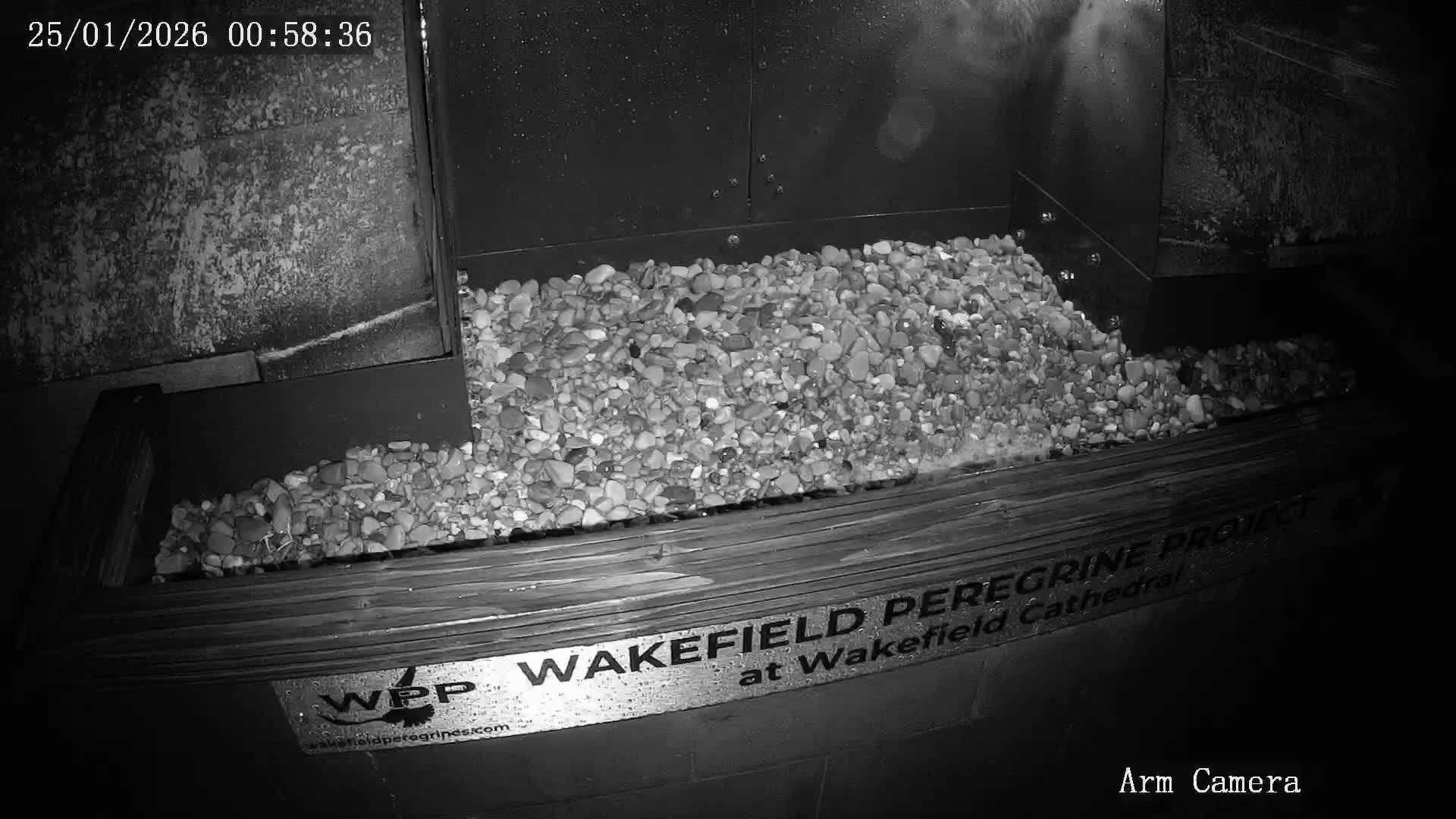 Wakefield Cathedral & Peregrine Life Project Live Cam - Wakefield, West Yorkshire, Yorkshire and the Humber, England, United Kingdom