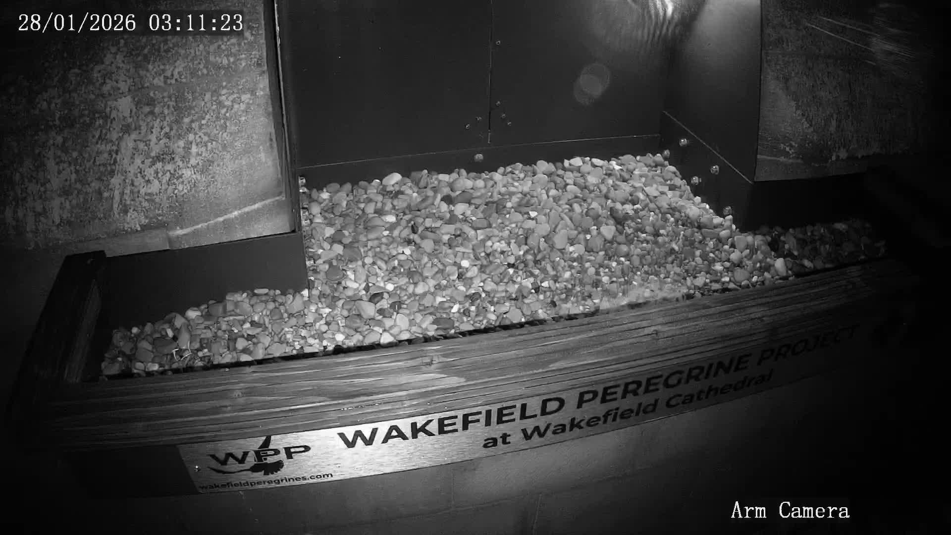 Wakefield Cathedral & Peregrine Life Project Live Cam - Wakefield, West Yorkshire, Yorkshire and the Humber, England, United Kingdom