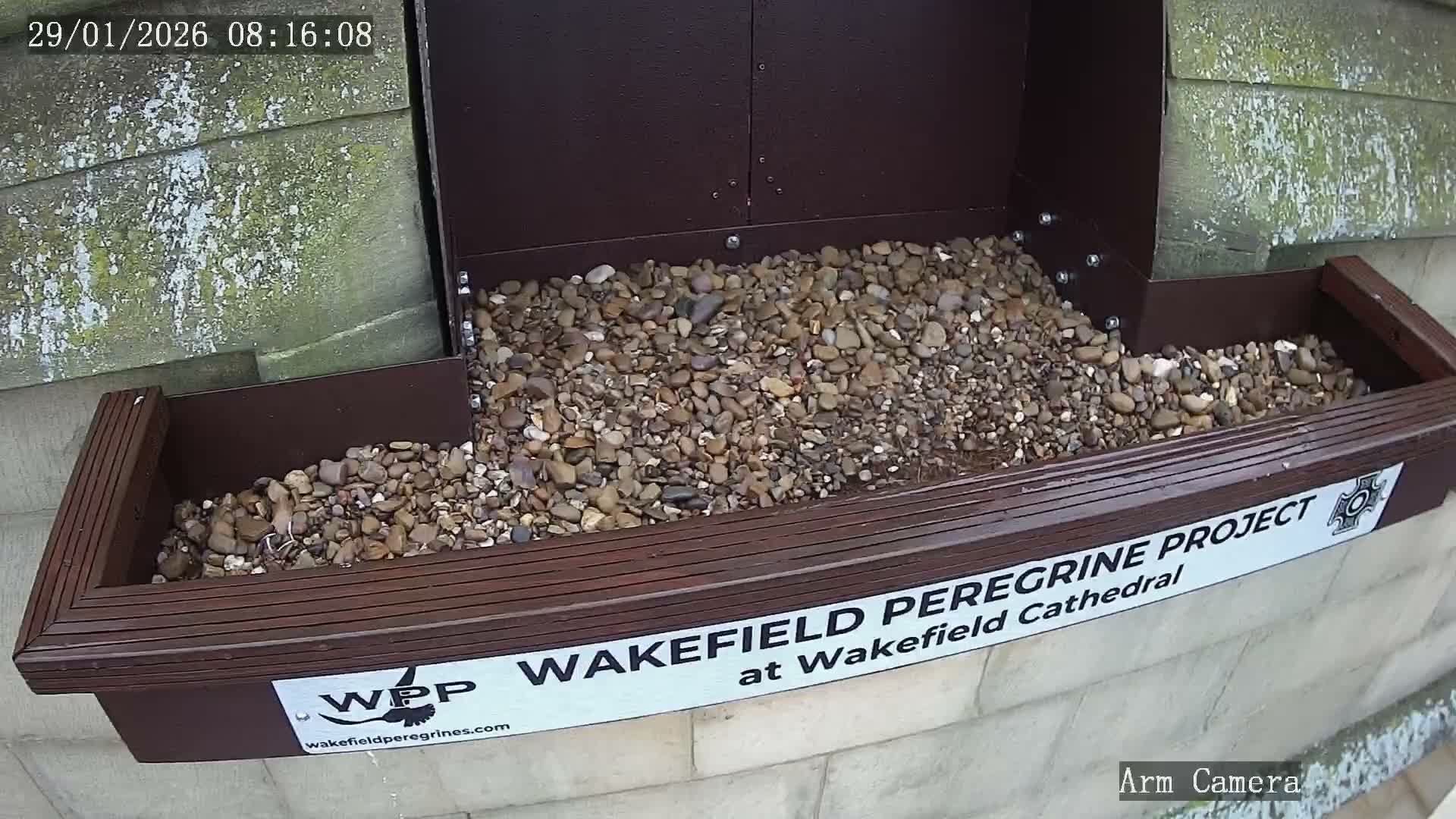 Wakefield Cathedral & Peregrine Life Project Live Cam - Wakefield, West Yorkshire, Yorkshire and the Humber, England, United Kingdom