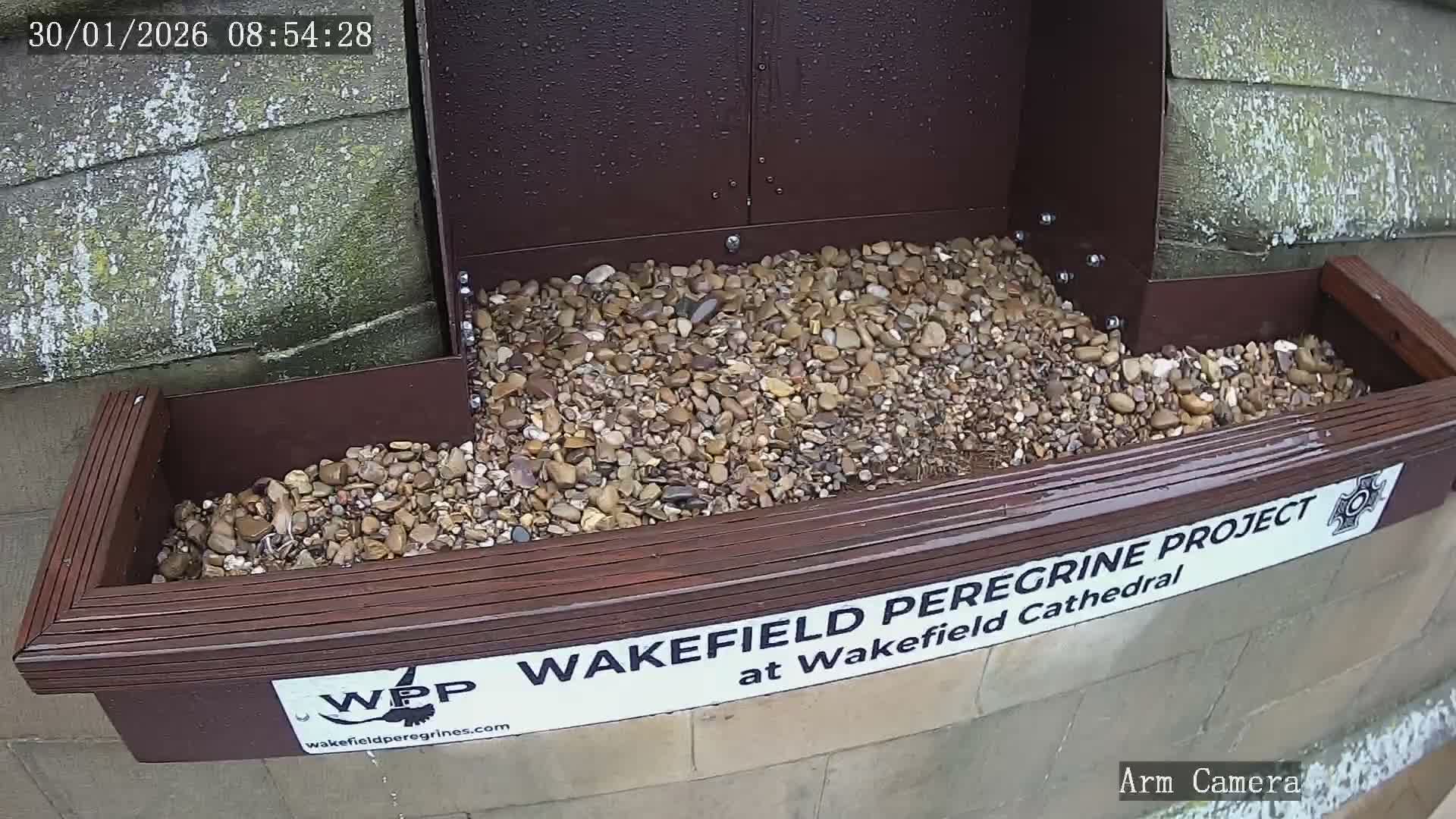 Wakefield Cathedral & Peregrine Life Project Live Cam - Wakefield, West Yorkshire, Yorkshire and the Humber, England, United Kingdom