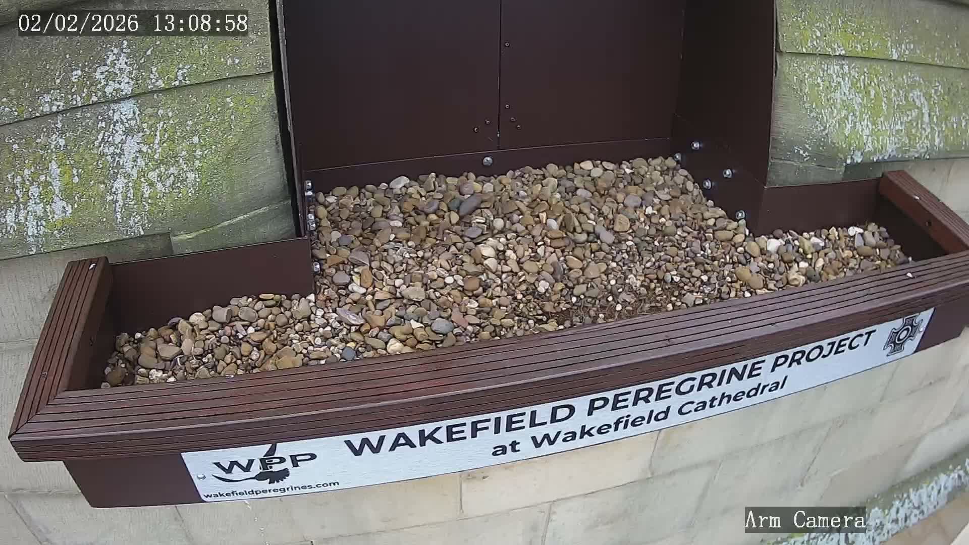 Wakefield Cathedral & Peregrine Life Project Live Cam - Wakefield, West Yorkshire, Yorkshire and the Humber, England, United Kingdom