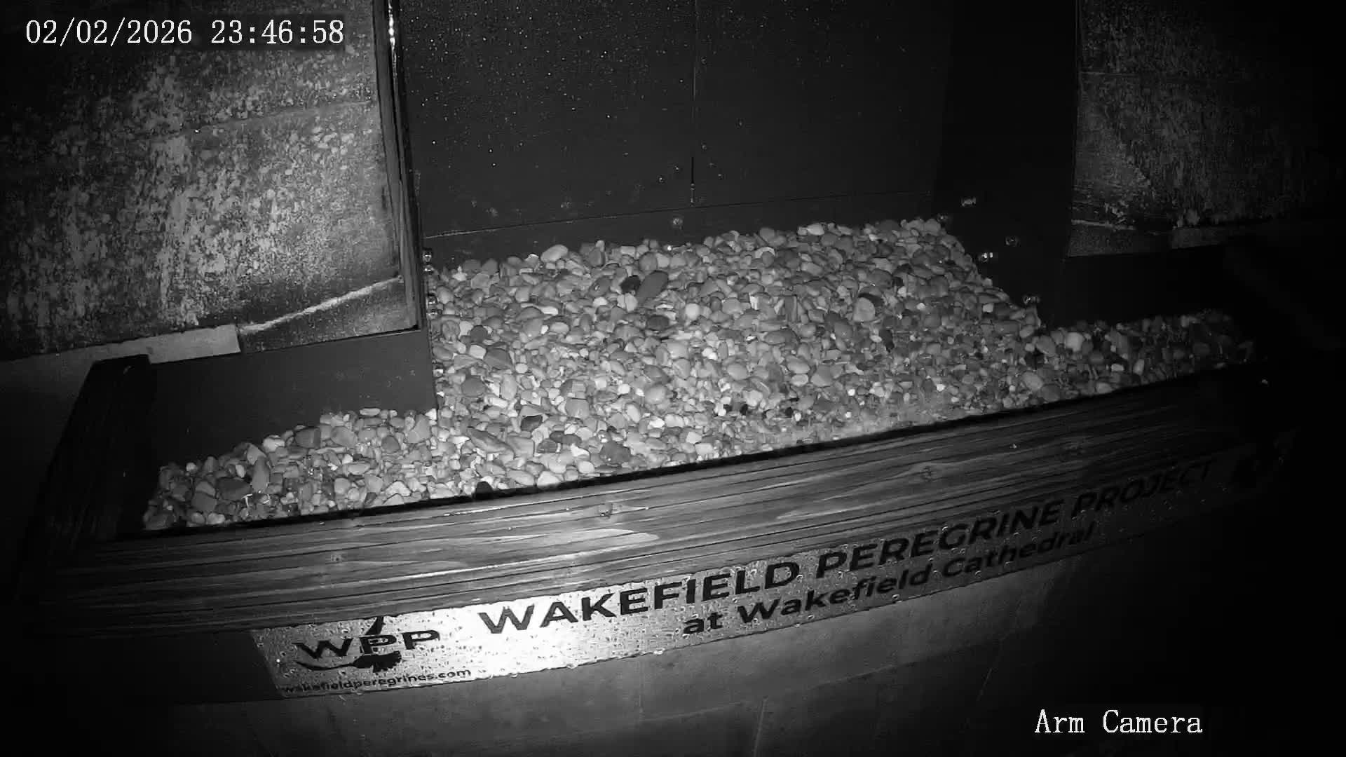 Wakefield Cathedral & Peregrine Life Project Live Cam - Wakefield, West Yorkshire, Yorkshire and the Humber, England, United Kingdom