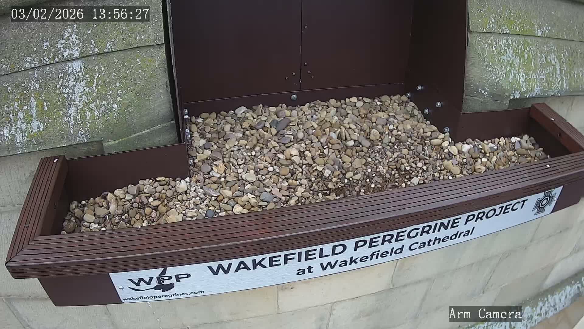 Wakefield Cathedral & Peregrine Life Project Live Cam - Wakefield, West Yorkshire, Yorkshire and the Humber, England, United Kingdom