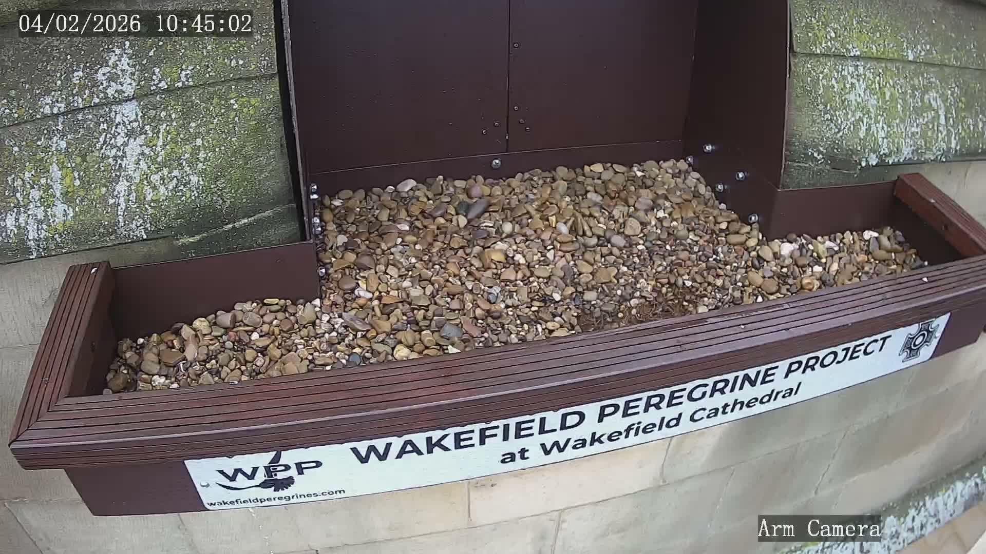 Wakefield Cathedral & Peregrine Life Project Live Cam - Wakefield, West Yorkshire, Yorkshire and the Humber, England, United Kingdom