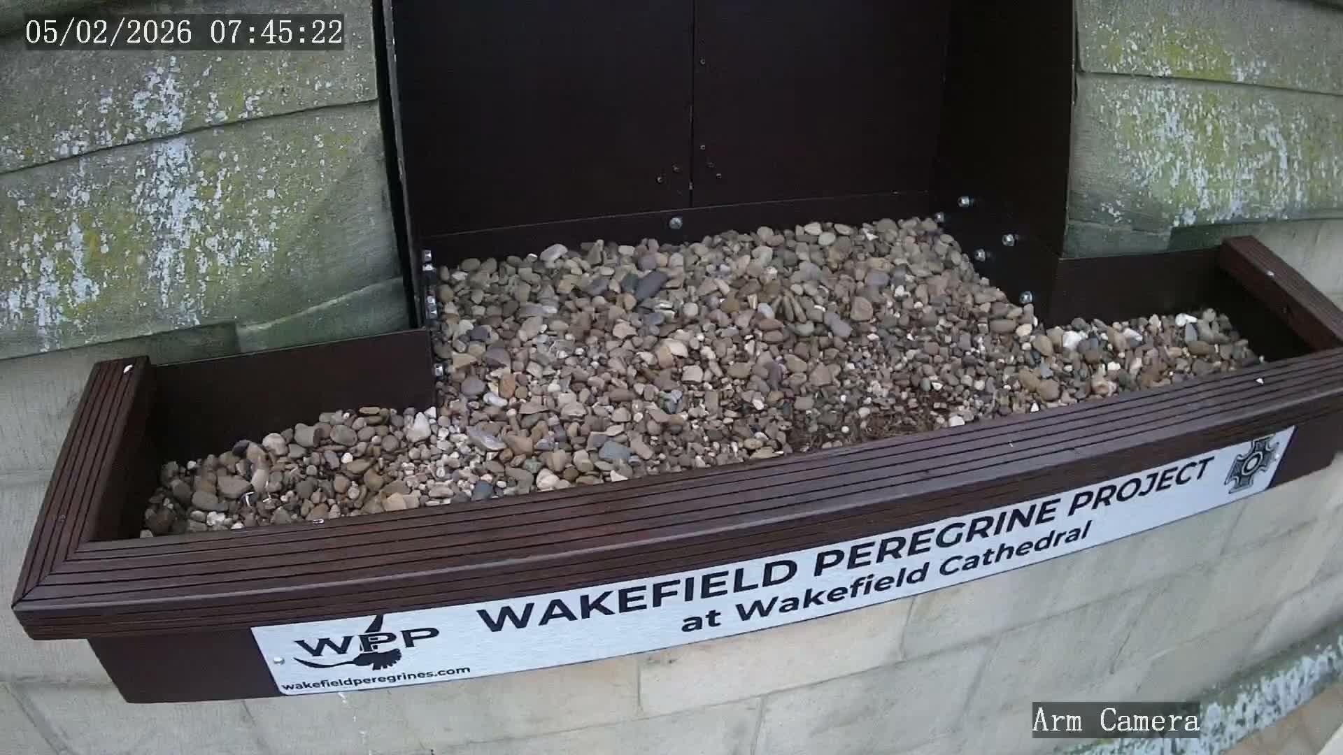 Wakefield Cathedral & Peregrine Life Project Live Cam - Wakefield, West Yorkshire, Yorkshire and the Humber, England, United Kingdom