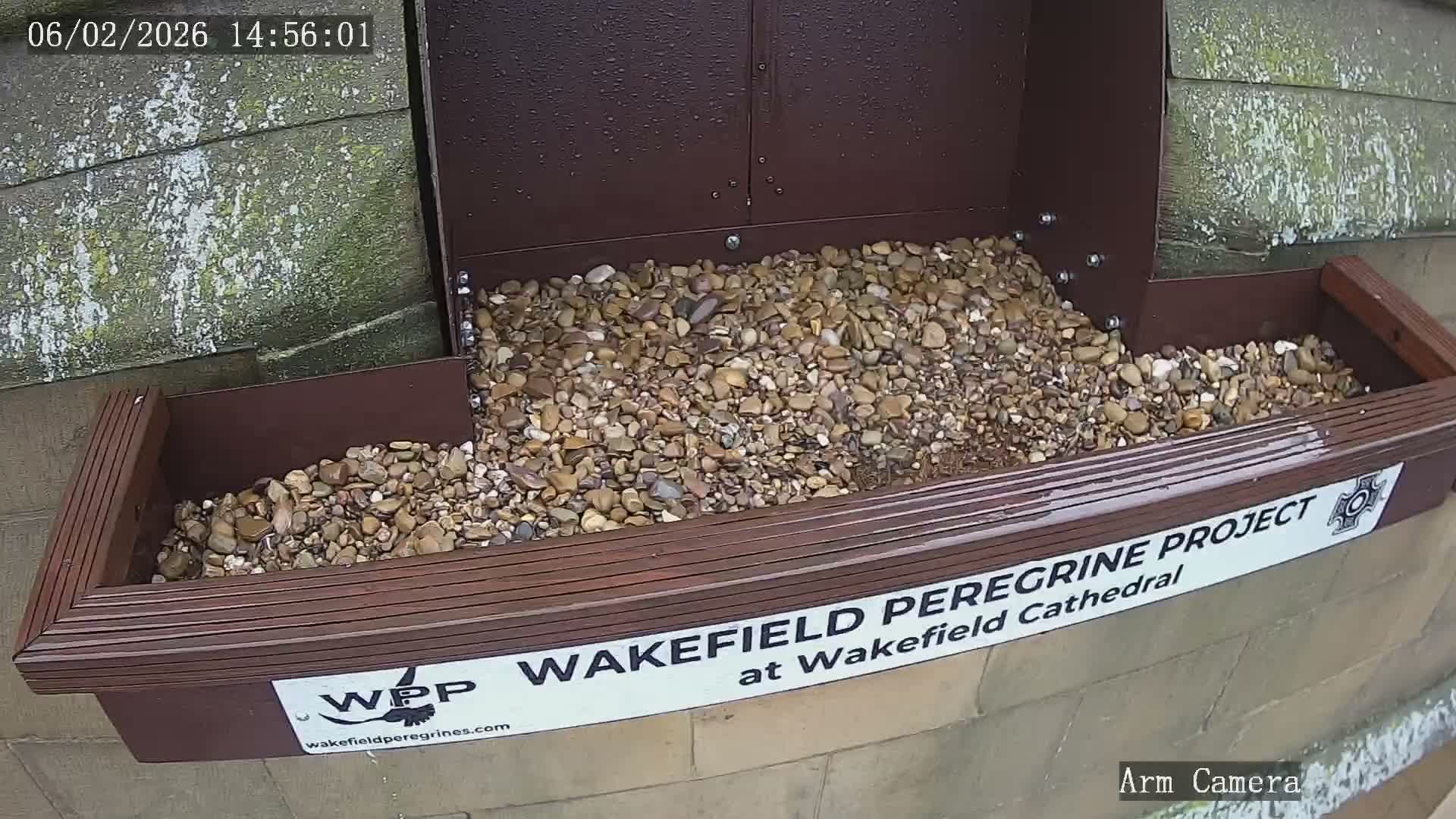 Wakefield Cathedral & Peregrine Life Project Live Cam - Wakefield, West Yorkshire, Yorkshire and the Humber, England, United Kingdom