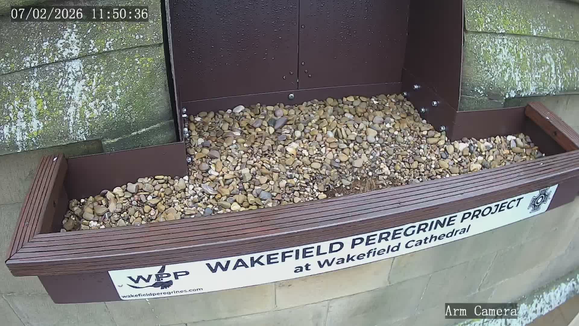 Wakefield Cathedral & Peregrine Life Project Live Cam - Wakefield, West Yorkshire, Yorkshire and the Humber, England, United Kingdom