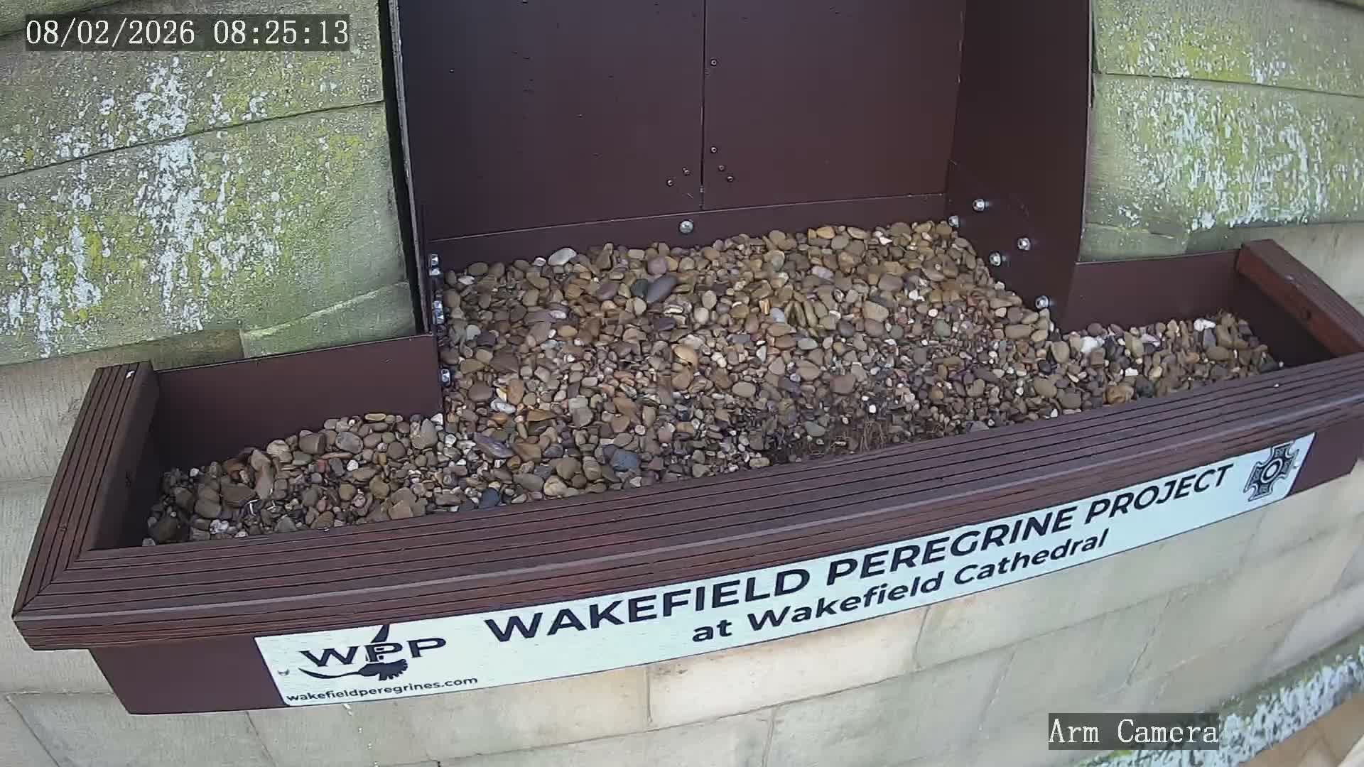 Wakefield Cathedral & Peregrine Life Project Live Cam - Wakefield, West Yorkshire, Yorkshire and the Humber, England, United Kingdom