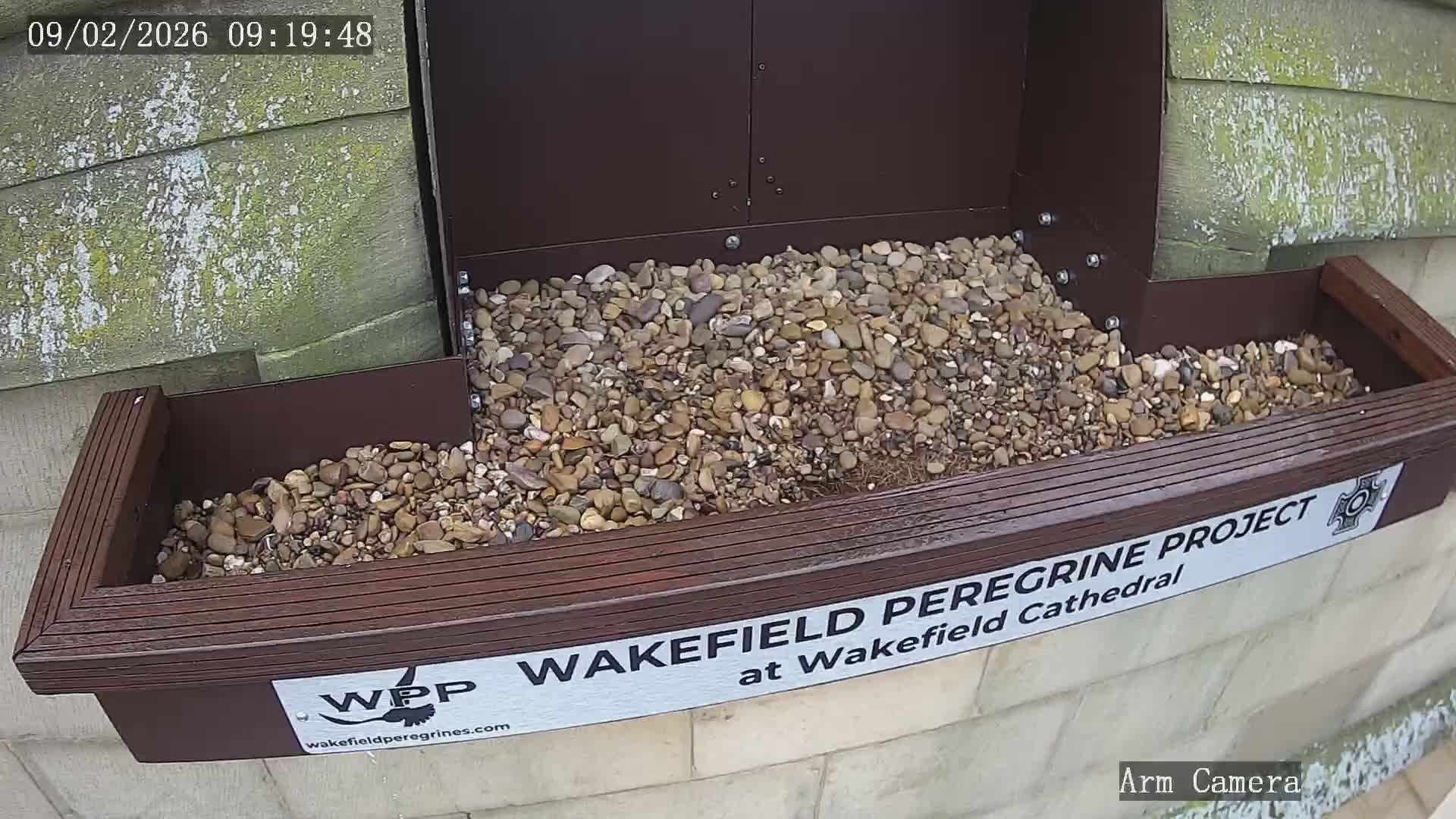 Wakefield Cathedral & Peregrine Life Project Live Cam - Wakefield, West Yorkshire, Yorkshire and the Humber, England, United Kingdom