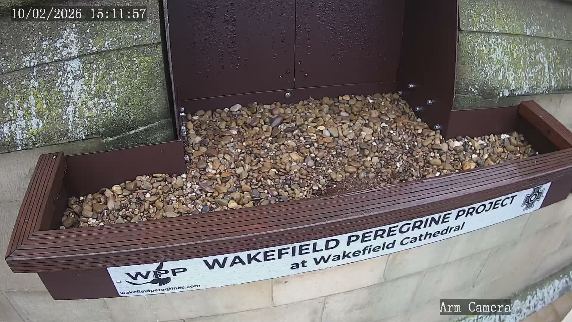 Wakefield Cathedral & Peregrine Life Project Live Cam - Wakefield, West Yorkshire, Yorkshire and the Humber, England, United Kingdom