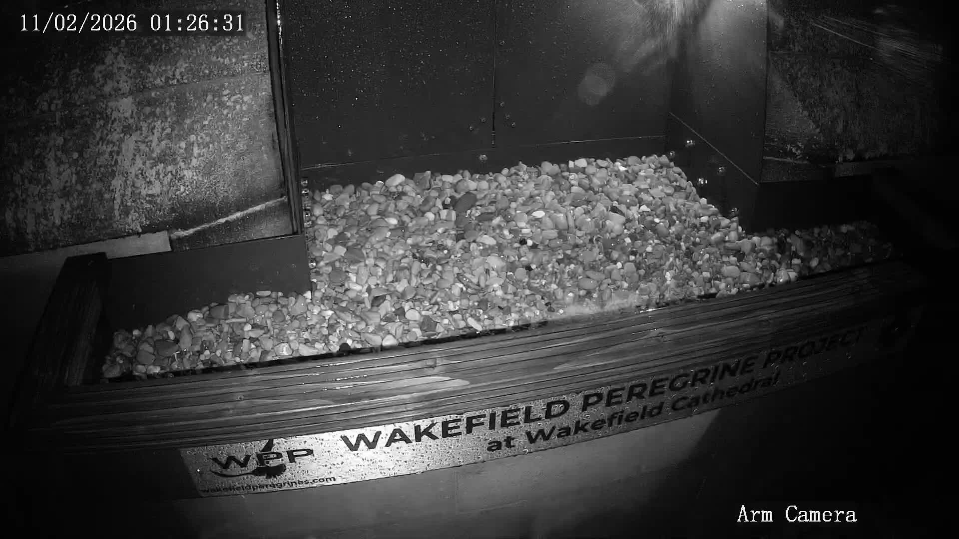 Wakefield Cathedral & Peregrine Life Project Live Cam - Wakefield, West Yorkshire, Yorkshire and the Humber, England, United Kingdom