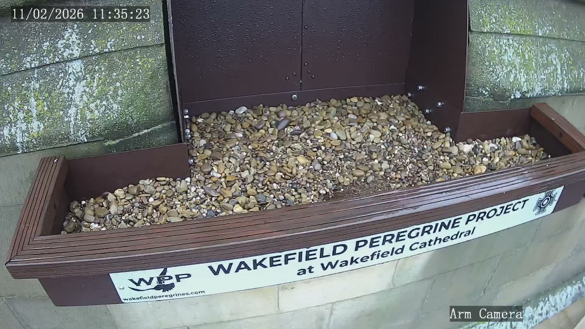 Wakefield Cathedral & Peregrine Life Project Live Cam - Wakefield, West Yorkshire, Yorkshire and the Humber, England, United Kingdom