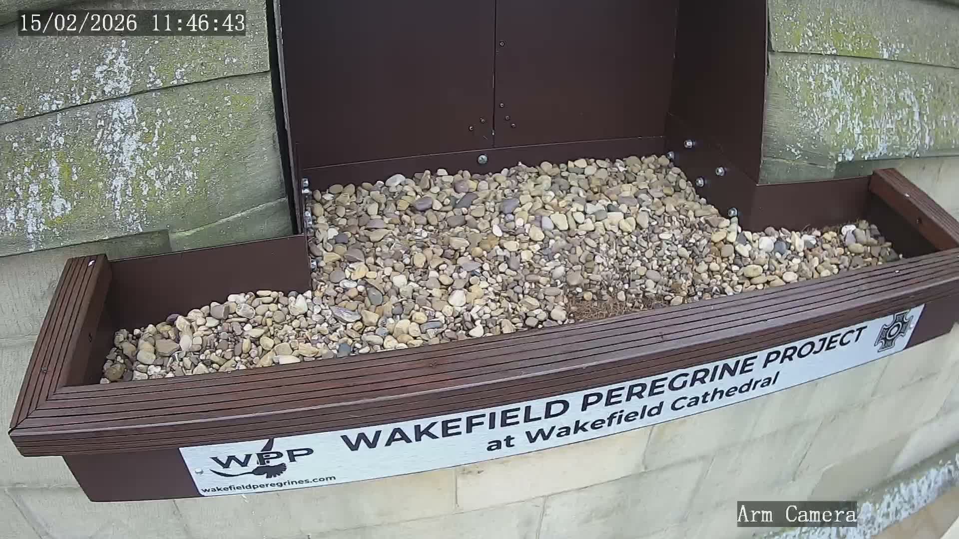 Wakefield Cathedral & Peregrine Life Project Live Cam - Wakefield, West Yorkshire, Yorkshire and the Humber, England, United Kingdom