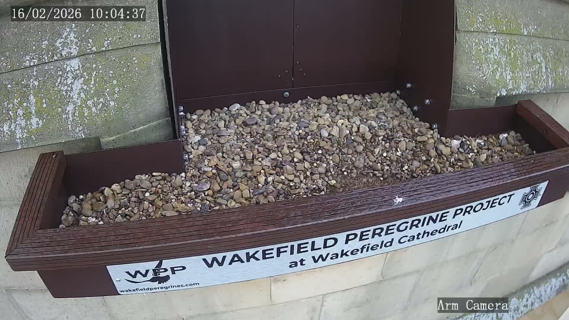 Wakefield Cathedral & Peregrine Life Project Live Cam - Wakefield, West Yorkshire, Yorkshire and the Humber, England, United Kingdom
