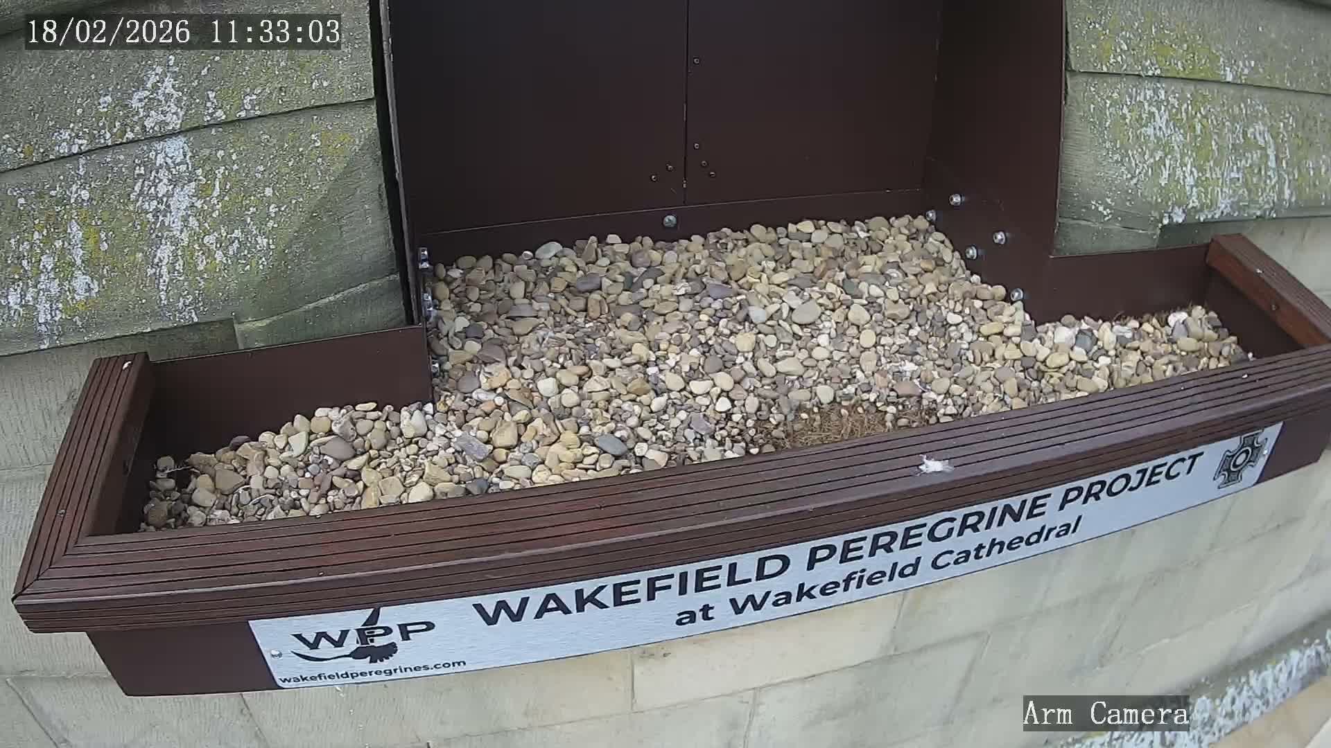Wakefield Cathedral & Peregrine Life Project Live Cam - Wakefield, West Yorkshire, Yorkshire and the Humber, England, United Kingdom