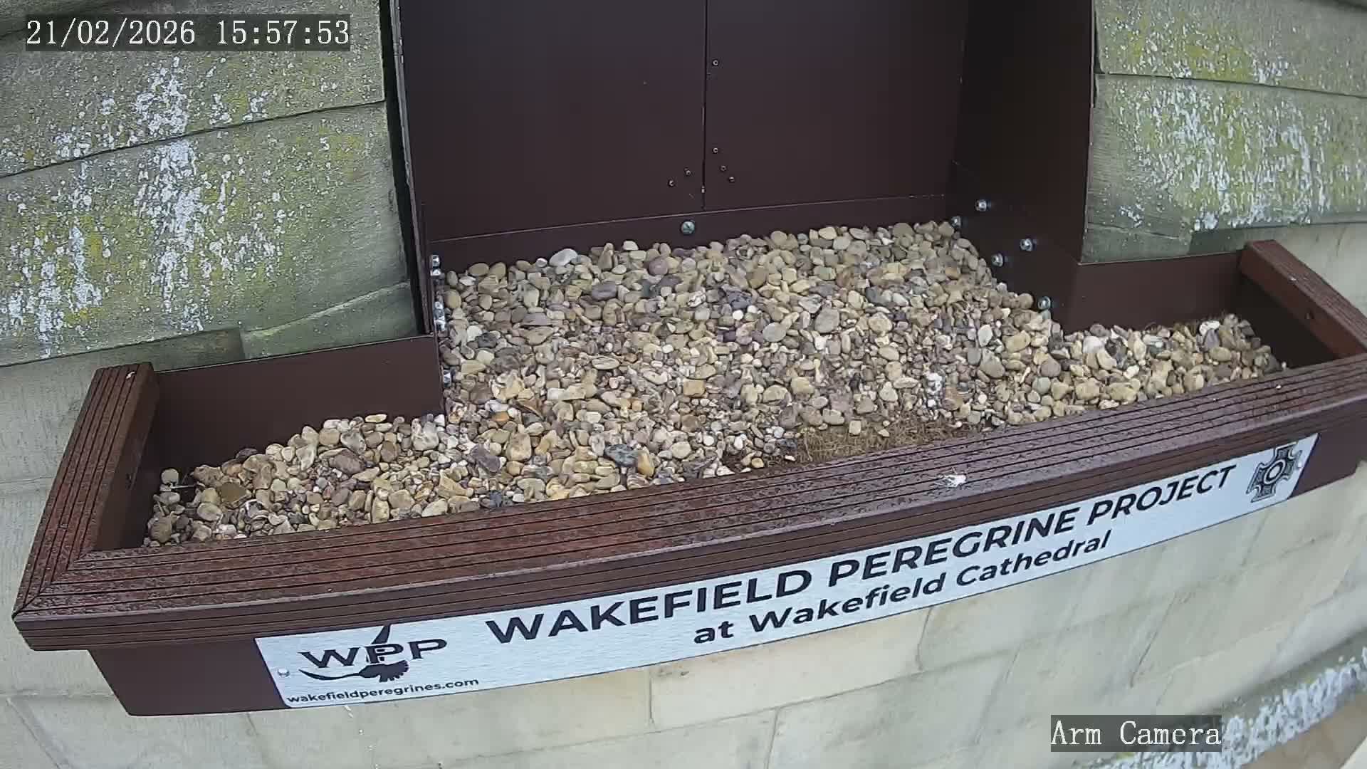 Wakefield Cathedral & Peregrine Life Project Live Cam - Wakefield, West Yorkshire, Yorkshire and the Humber, England, United Kingdom