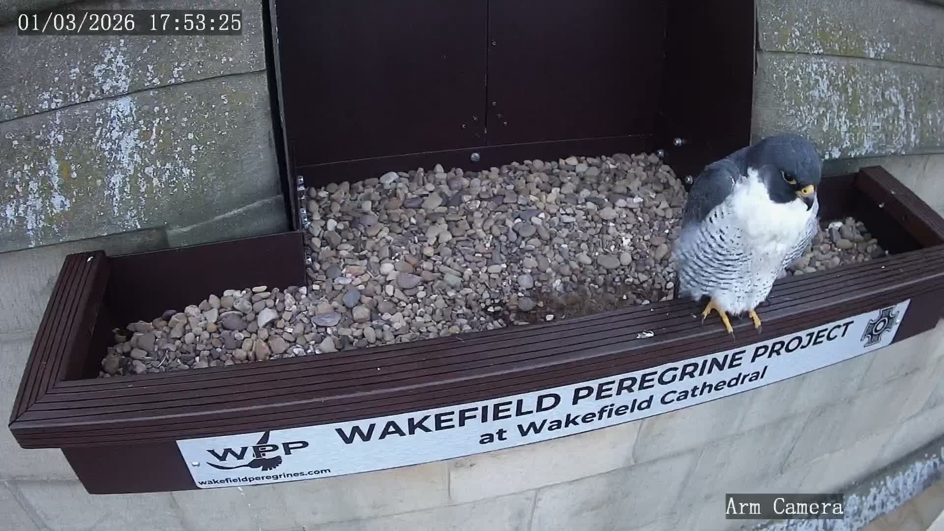 Wakefield Cathedral & Peregrine Life Project Live Cam - Wakefield, West Yorkshire, Yorkshire and the Humber, England, United Kingdom