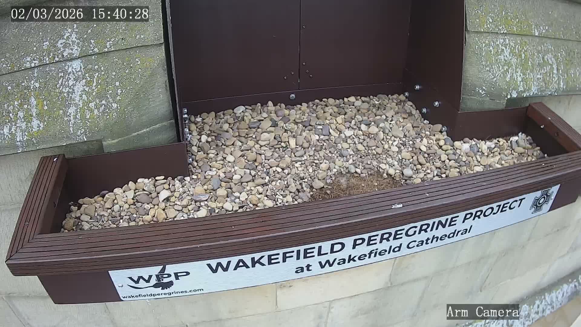 Wakefield Cathedral & Peregrine Life Project Live Cam - Wakefield, West Yorkshire, Yorkshire and the Humber, England, United Kingdom