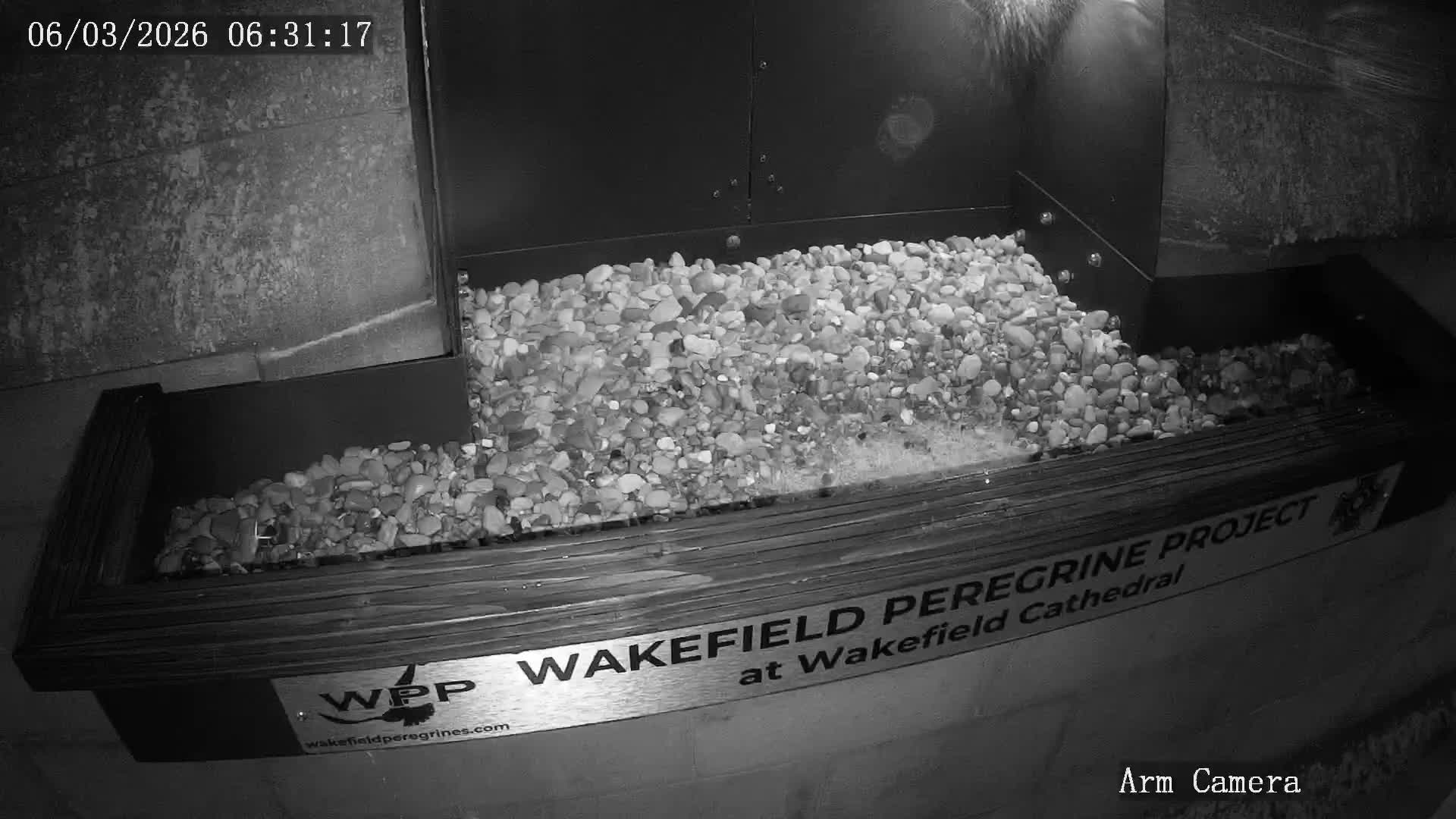 Wakefield Cathedral & Peregrine Life Project Live Cam - Wakefield, West Yorkshire, Yorkshire and the Humber, England, United Kingdom