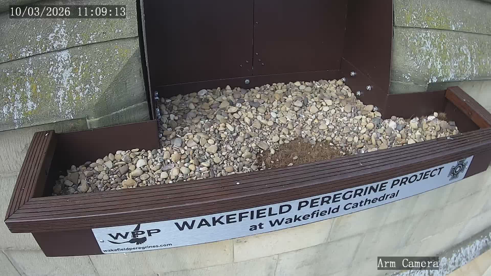 Wakefield Cathedral & Peregrine Life Project Live Cam - Wakefield, West Yorkshire, Yorkshire and the Humber, England, United Kingdom