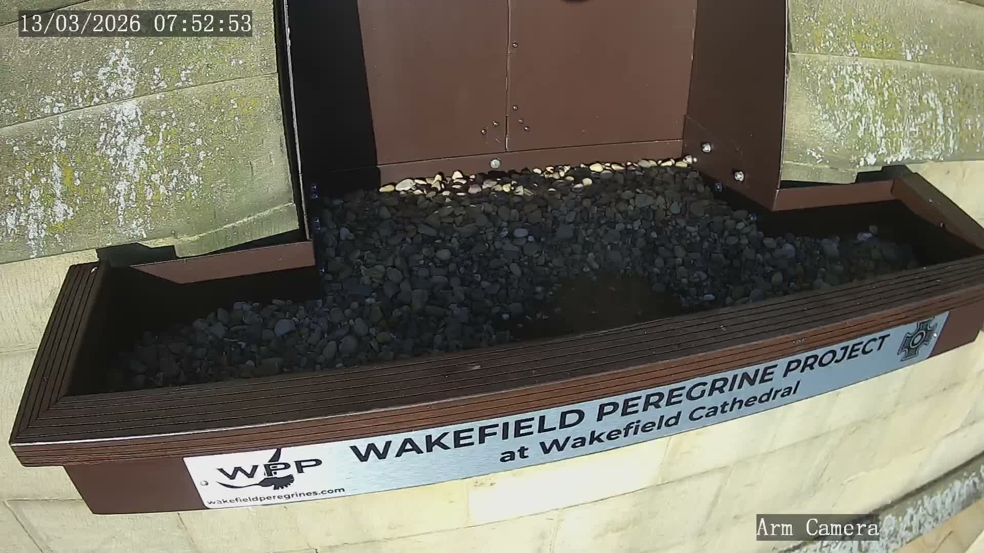 Wakefield Cathedral & Peregrine Life Project Live Cam - Wakefield, West Yorkshire, Yorkshire and the Humber, England, United Kingdom