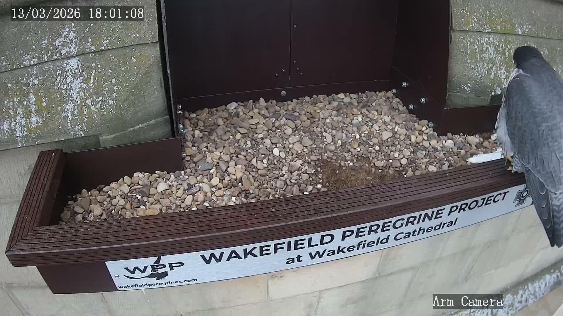 Wakefield Cathedral & Peregrine Life Project Live Cam - Wakefield, West Yorkshire, Yorkshire and the Humber, England, United Kingdom