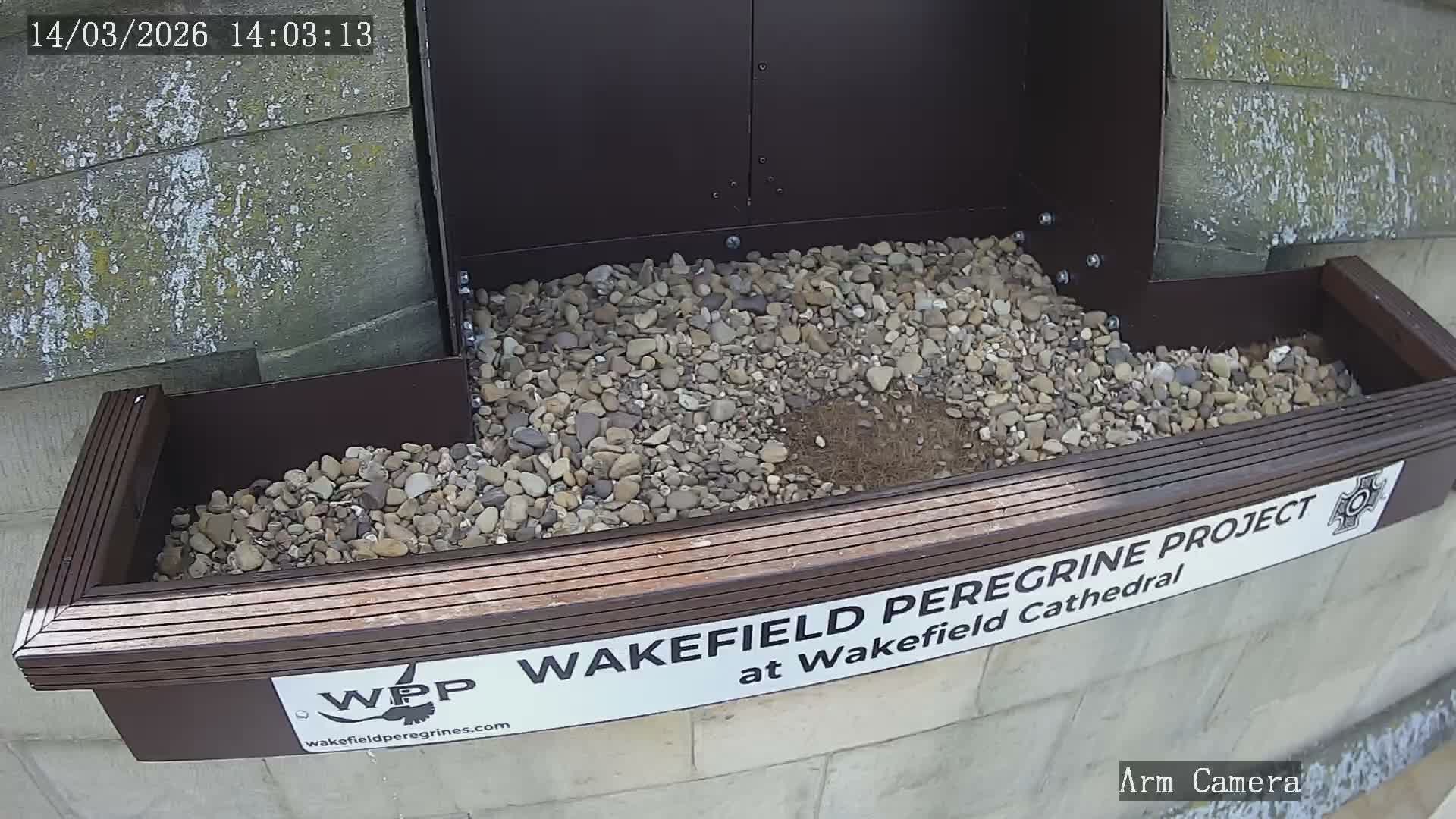 Wakefield Cathedral & Peregrine Life Project Live Cam - Wakefield, West Yorkshire, Yorkshire and the Humber, England, United Kingdom