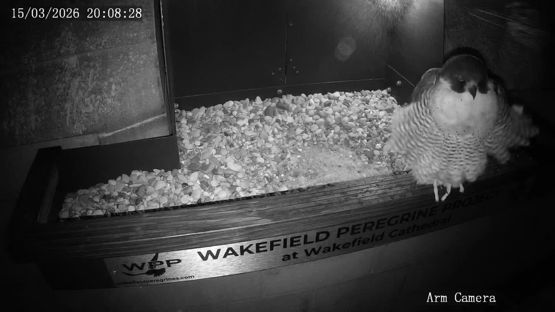 Wakefield Cathedral & Peregrine Life Project Live Cam - Wakefield, West Yorkshire, Yorkshire and the Humber, England, United Kingdom