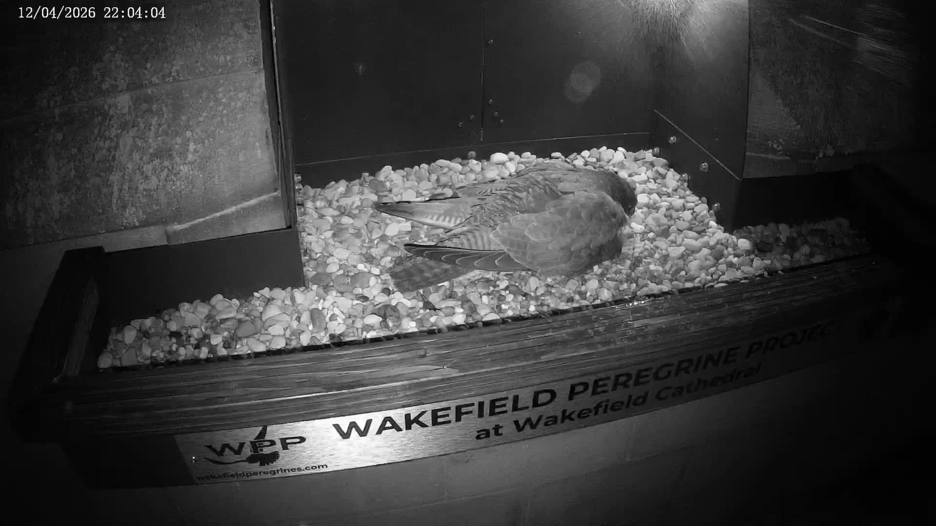 Wakefield Cathedral & Peregrine Life Project Live Cam - Wakefield, West Yorkshire, Yorkshire and the Humber, England, United Kingdom